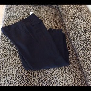 NWT ANN TAYLOR LOFT DRESS SLACKS